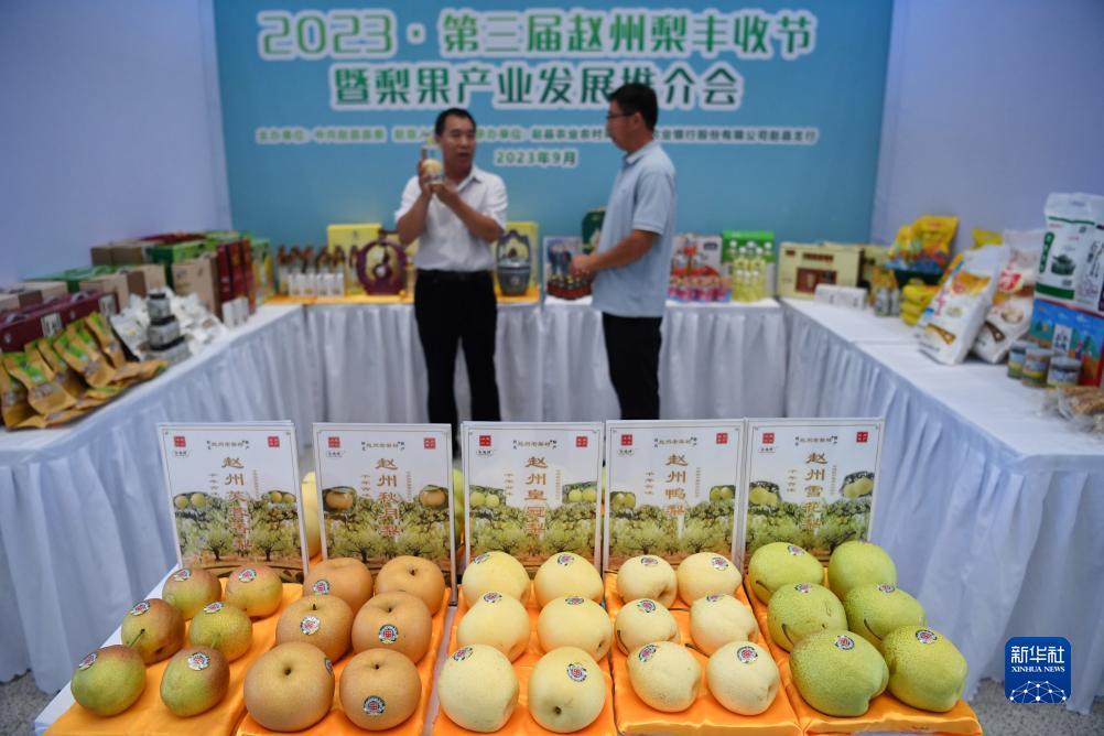 合乐888登录